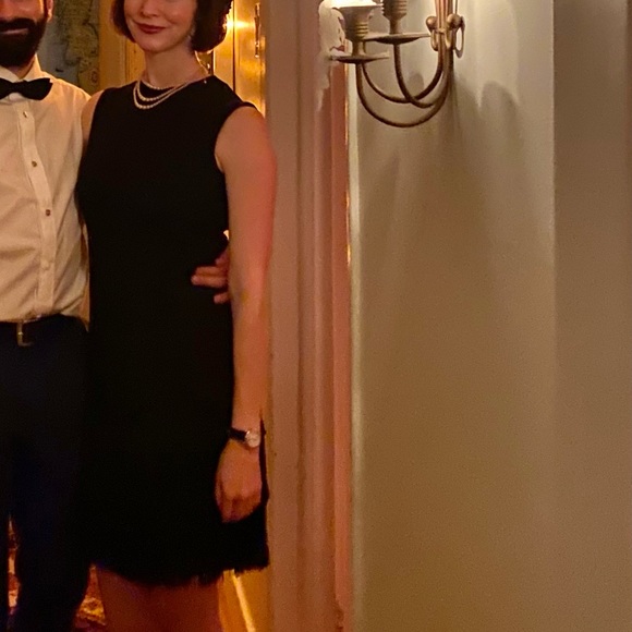 Vintage 1920s Fringe Dress - Picture 5 of 5